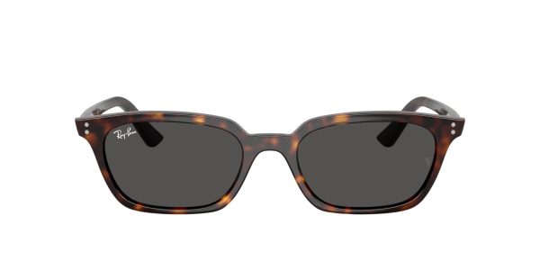 RAY BAN 4456 135987 53